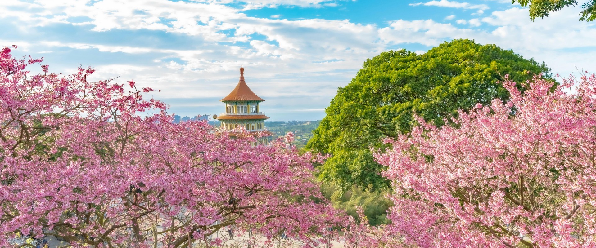 Been to Taiwan Before? Your Next Visit Could Be Even More Rewarding